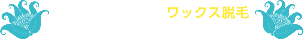 ラヴァコケットのワックス脱毛ビフォーアフターご紹介
