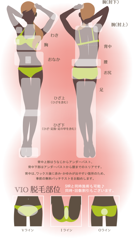 ブラジリアンワックス ボディ 脱毛部位 VIO